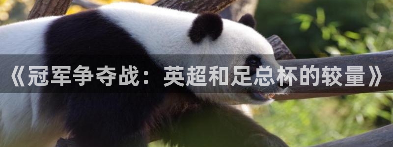 so米直播足球比赛：《冠军争夺战：英超和足总杯的较量》
