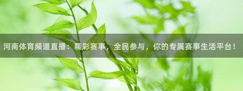 so米体育直播足球：河南体育频道直播：精彩赛事，全民参与，你的专属赛事生活平台！