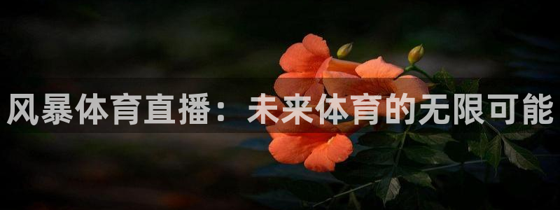 so米体育nba直播吧：风暴体育直播：未来体育的无限可能